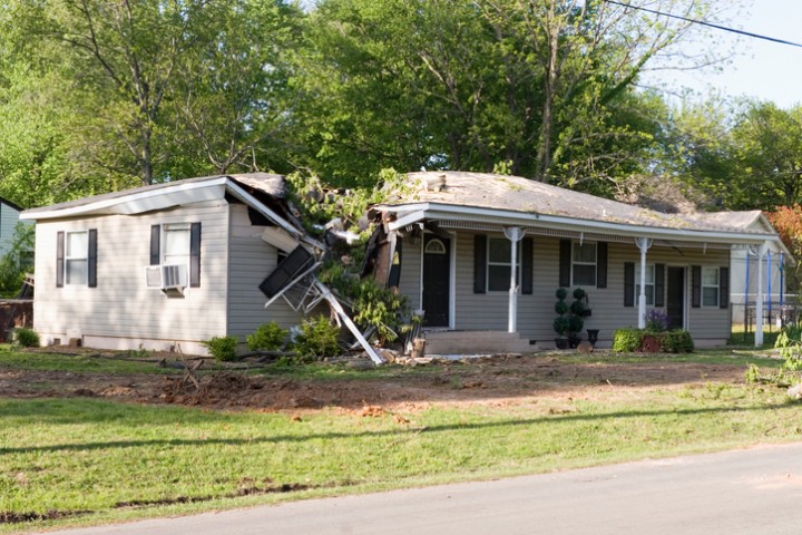 Fallen Tree Damage Restoration by Emergency Response Team