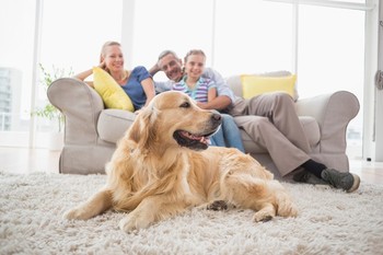 Carpet Cleaning by Emergency Response Team