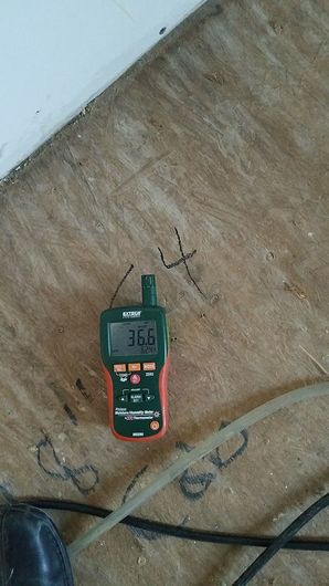Water Damage Restoration Melrose, TN (1)