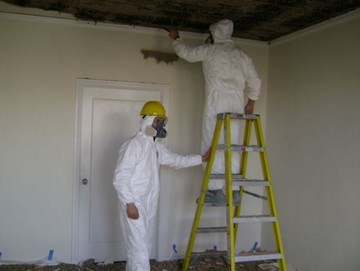 Mold Removal in Melrose, TN